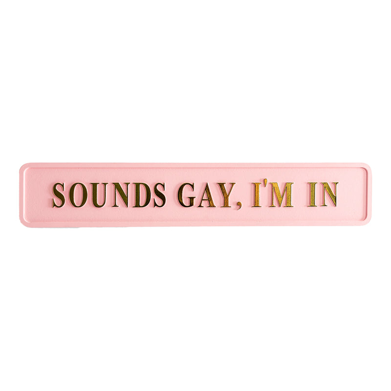 Sounds Gay I'm In Wall Sign - Pink