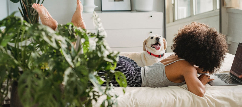 5 Steps to a Cosy Home