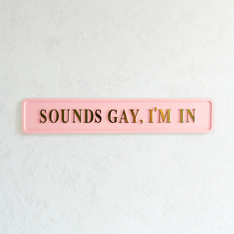 Sounds Gay I'm In Wall Sign - Pink