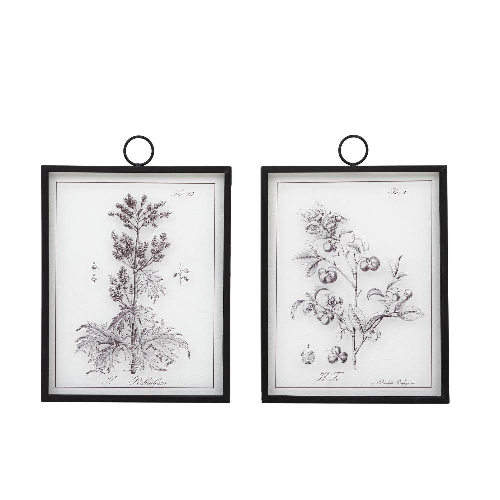 Botanical wall art with black metal hanging frames displaying antique-style plant illustrations in a neutral interior setting.