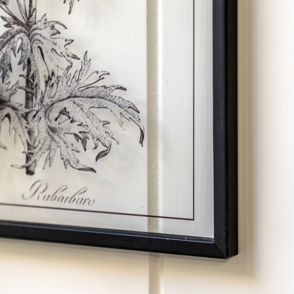 Close-up detail of black framed botanical print with fine monochrome illustration and minimalist hanging loop design.