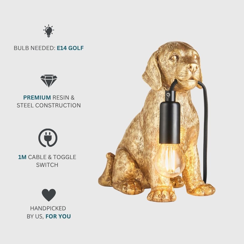 Gold labrador puppy resin table lamp holding exposed filament bulb, featuring E14 golf bulb requirement and premium resin and steel construction details.
