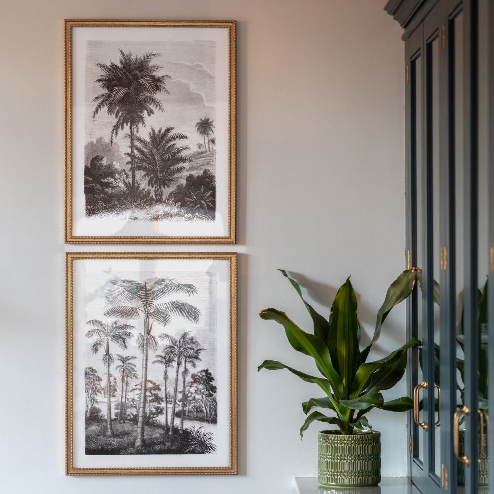 Set of two framed botanical palm tree prints in black and white with antique-style gold beaded frames displayed on a neutral wall.