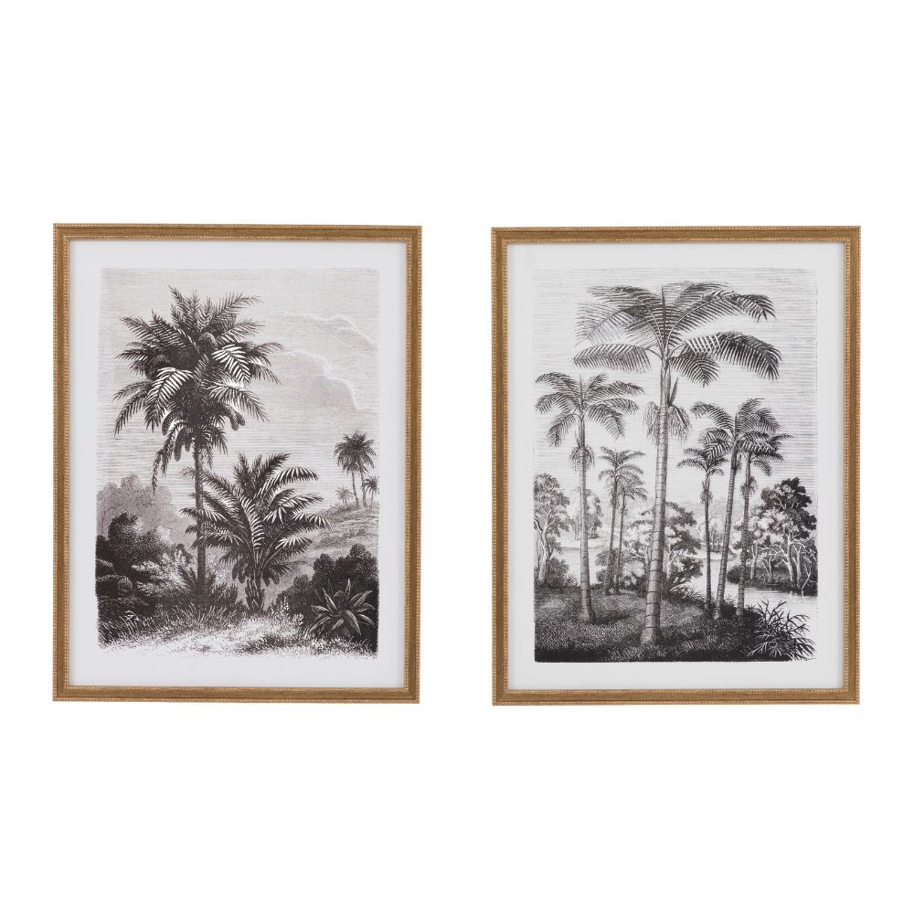 Vintage palm tree botanical wall art set featuring detailed monochrome tropical landscape illustrations in matching gold frames.