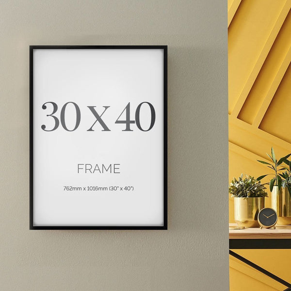 30 X 40 Frame 